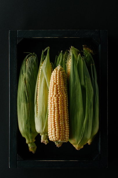 top view of raw fresh corn cobs in wooden box isolated on black - Φωτογραφία, εικόνα