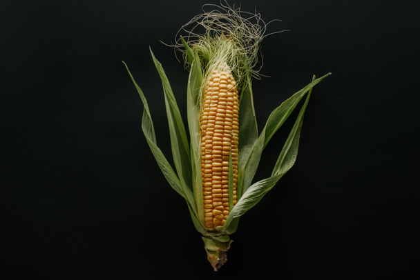 top view fresh ripe corn cob isolated on black - Foto, Imagem
