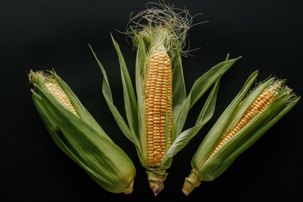flat lay with arranged raw fresh corn cobs isolated on black - Фото, изображение