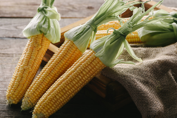 close up view of ripe corn cobs in box with sack cloth on wooden surface - Photo, Image