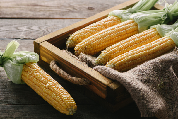 close up view of ripe corn cobs in box with sack cloth on wooden surface - Photo, Image