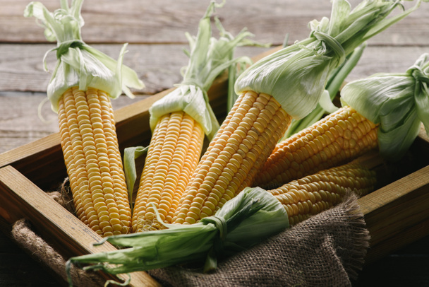 close up view of ripe corn cobs in box with sack cloth on wooden surface - Foto, afbeelding