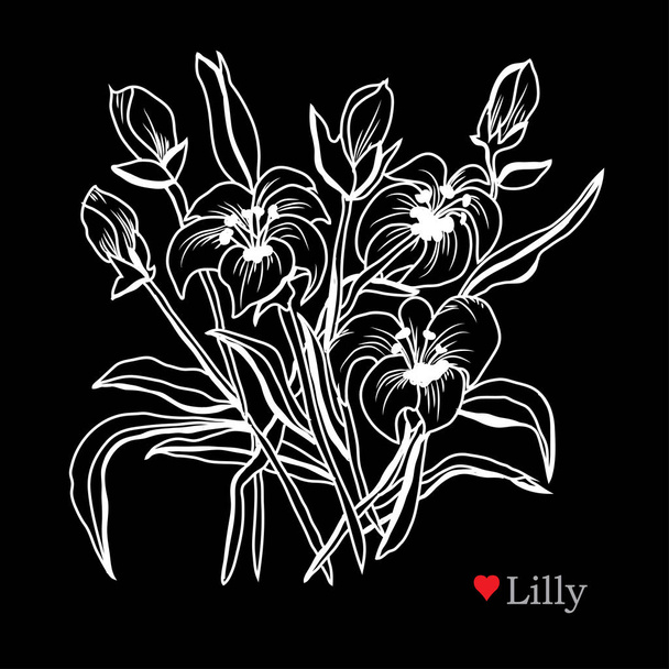 Decorative lily  flowers, design elements. Can be used for cards, invitations, banners, posters, print design. Floral background in line art style - Vektori, kuva