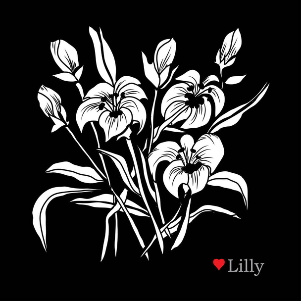 Decorative lily  flowers, design elements. Can be used for cards, invitations, banners, posters, print design. Floral background in line art style - Вектор,изображение