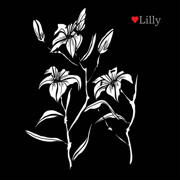Decorative lily  flowers, design elements. Can be used for cards, invitations, banners, posters, print design. Floral background in line art style - Vector, Imagen