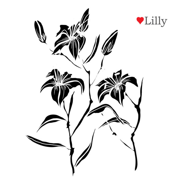Decorative lily  flowers, design elements. Can be used for cards, invitations, banners, posters, print design. Floral background in line art style - Вектор,изображение