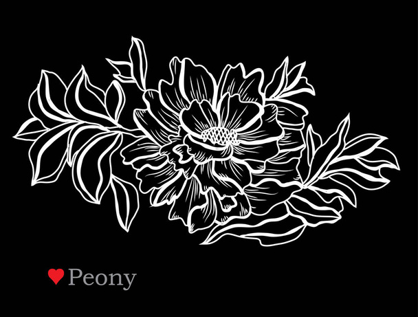 Decorative  peony flowers, design elements. Can be used for cards, invitations, banners, posters, print design. Floral background in line art style - Vektori, kuva