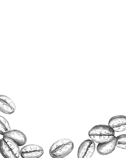 Ręcznie rysowane ziaren kawy klatek na białym tle. Ilustracja wektorowa - Wektor, obraz