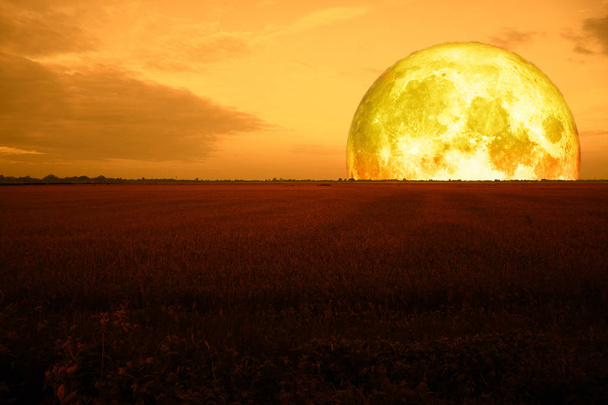 super half blood moon back red field night sky, Elementos de esta imagen proporcionados por la NASA
 - Foto, imagen