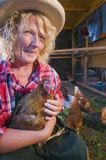 Torzo portrét ženy středního věku blond v kurníku drží kuře v náručí a hledá laskavě do kamery. - Fotografie, Obrázek