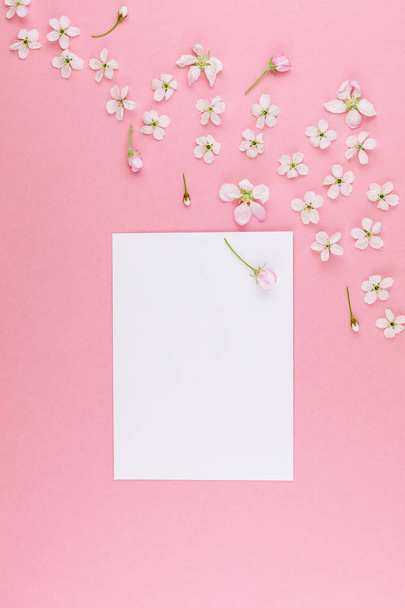 Creative flat lay concept top view of blank postcard frame mock up and cherry tree flowers on pastel millennial pink background with copy space in minimal style, template for lettering, text or design - Фото, изображение