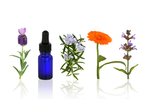 Aromaterapia zioła i kwiaty - Zdjęcie, obraz
