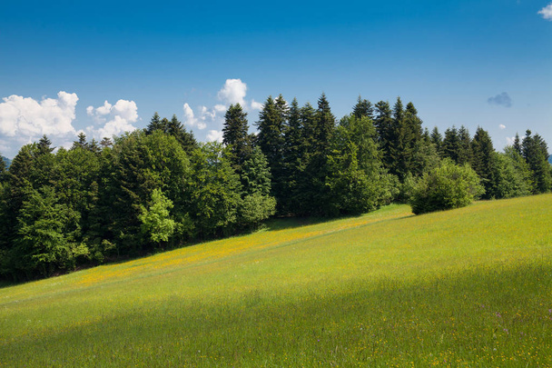 Sromowce Nizne hegyi ösvényen a Trzy Korony. Vándor körül a Pieniny Nemzeti Parkban, Lengyelország. - Fotó, kép