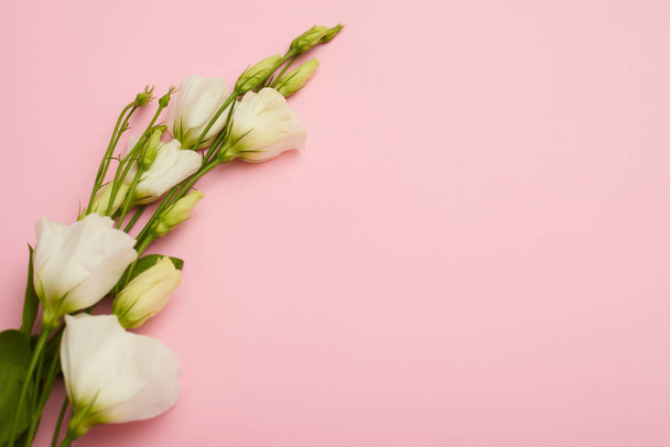 Branch of white blossoming eustoma on pink flatlay - Foto, afbeelding