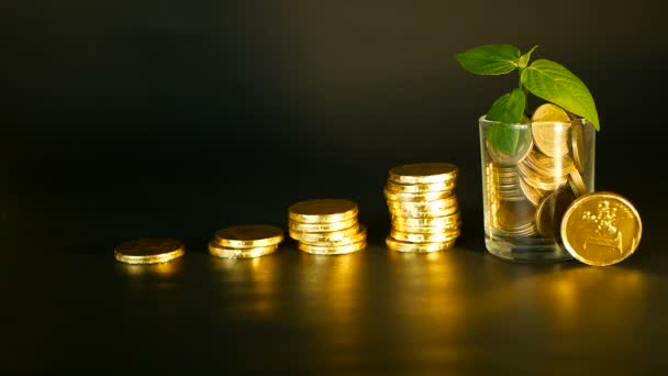 Managementeffizienz. Stapel goldener Münzen in der Nähe von vollem Glas und grünem Keimling auf schwarzem Hintergrund. Erfolg. - Filmmaterial, Video