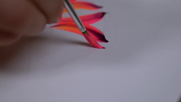 Drawing flower on white canvas - Footage, Video