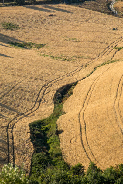 Поля вирощування зерна на пагорби Абруццо. Італія - Фото, зображення