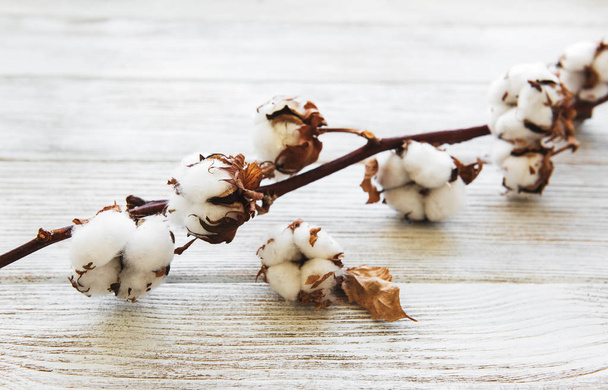 white cotton flowers on rustic wooden table - Photo, Image