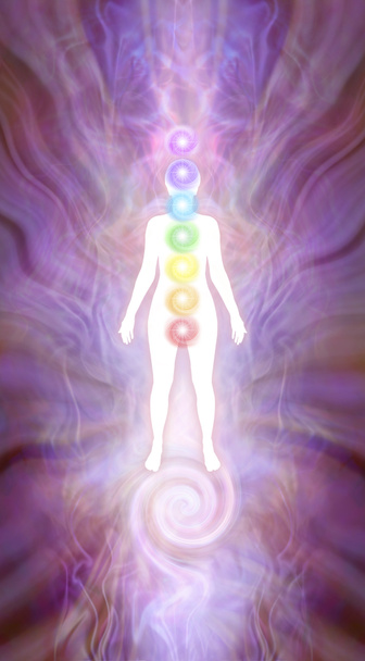 Schéma de la silhouette du chakra Kundalini - silhouette féminine blanche sur fond de formation d "énergie rose avec sept chakras et spirale Kundalini montant de dessous les pieds
  - Photo, image