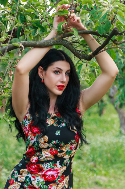 beautiful girl in a fruit garden close-up - Foto, immagini