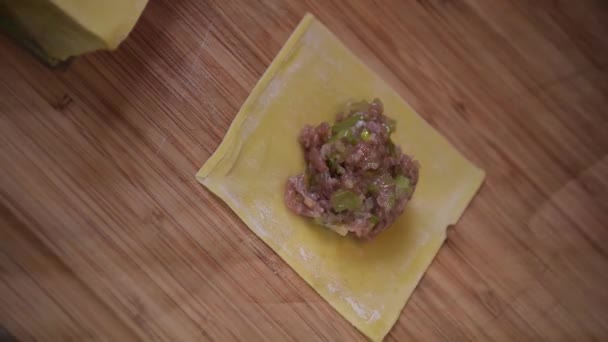 wantons making asian chinese - Imágenes, Vídeo