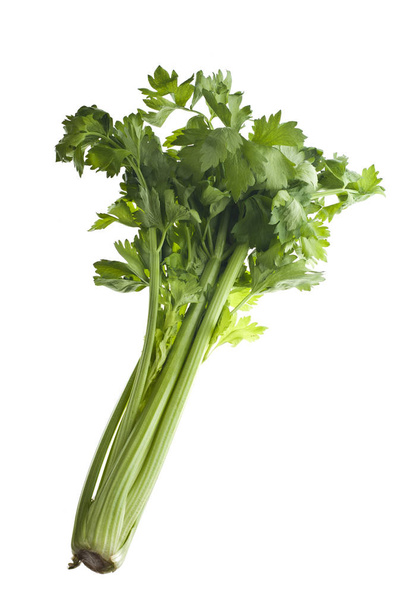 Stalk of fresh celery on a white background - Photo, Image