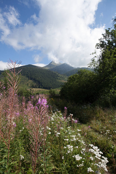 Patikointi Tatran kansallispuistossa Slovakia, Puola. Maisemat ja panoraama vuorijono
. - Valokuva, kuva