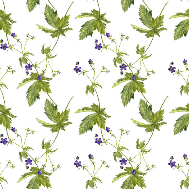 Seamless pattern with flower of meadow geranium - Foto, afbeelding