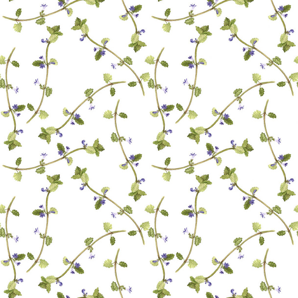 Seamless pattern with flowers of ground-ivy - Фото, зображення