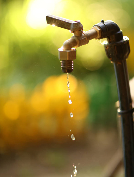 gocce d'acqua gocciolante dal rubinetto fasset foto da vicino
 - Foto, immagini