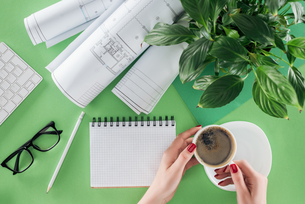 geschnittenes Bild einer Architektin, die eine Tasse Kaffee am Tisch hält, mit Lehrbuch, Plänen und Pflanzen  - Foto, Bild