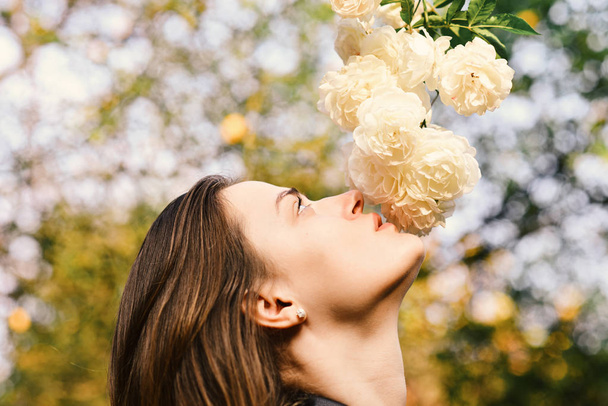 Woman with romantic face sniffs white or ivory roses - Fotografie, Obrázek