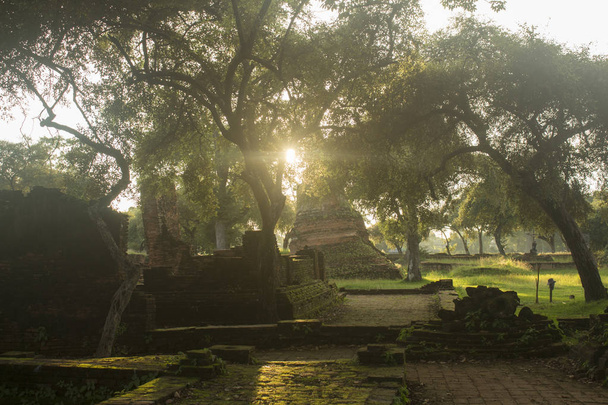 Ruinas del templo rodeadas de árboles en Wat Phra Si Sanphet en Ayutthaya, Tailandia
 - Foto, Imagen