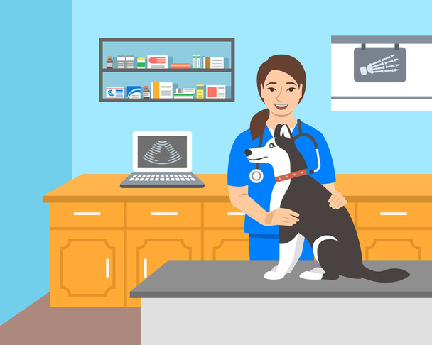 Genç kadın Veteriner doktor husky köpek veteriner kliniğinde muayene masasında tutar. Vektör karikatür çizim. Evcil hayvan sağlık arka plan. Ev ile ilgili hayvan tedavi kavramı. Hayvan hastalıklarıyla ilgili Danışma - Vektör, Görsel