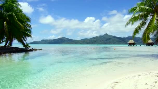 tropical beach and bungalows in french polynesia - Footage, Video