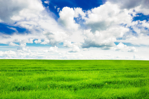 yeşil çimen ve parlak mavi gökyüzü - Fotoğraf, Görsel
