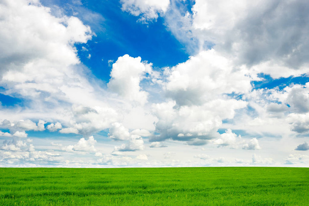 πράσινο πεδίο γρασίδι και φωτεινό γαλάζιο ουρανό - Φωτογραφία, εικόνα