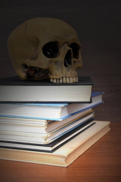libros con cráneo humano en la oscuridad
 - Foto, imagen