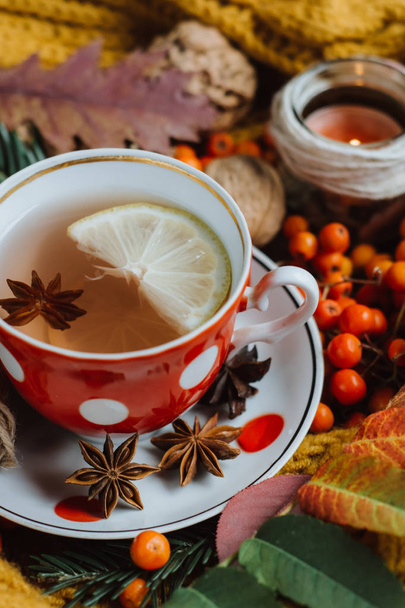  Byt leží. Texturou šátek s šálkem čaje. Na podzim listy, svíčky na dřevěné pozadí. Podzimní nebo zimní koncept. - Fotografie, Obrázek