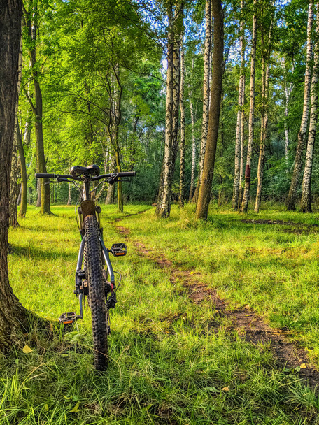 MTB bicycle on the trail in the summer season - Zdjęcie, obraz