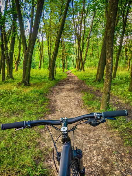 Bicicleta MTB na trilha na temporada de verão
 - Foto, Imagem