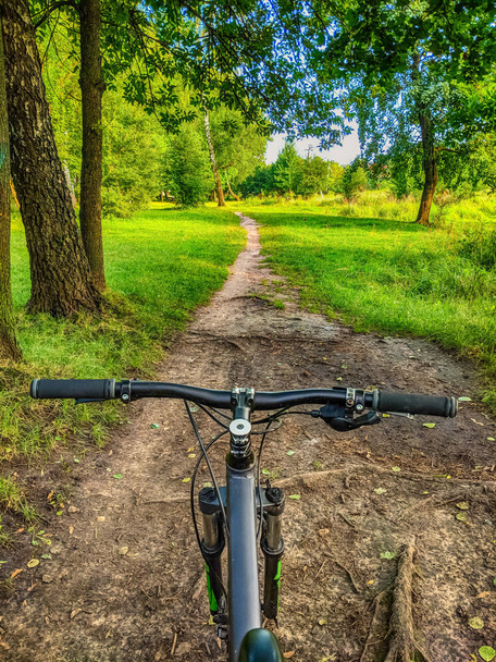 MTB bicycle on the trail in the summer season - Photo, Image