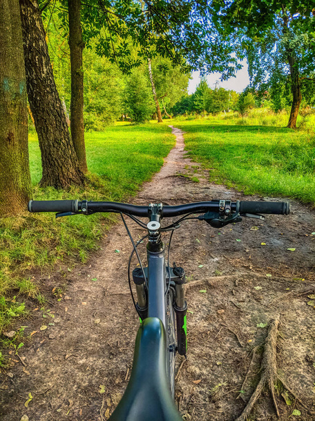 MTB bicycle on the trail in the summer season - Photo, Image