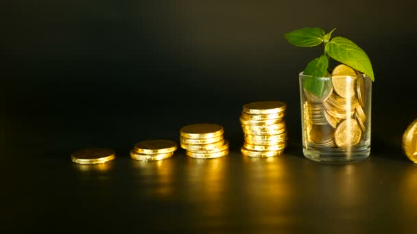 Managementeffizienz. Stapel goldener Münzen in der Nähe von vollem Glas und grünem Keimling auf schwarzem Hintergrund. Erfolg. - Filmmaterial, Video