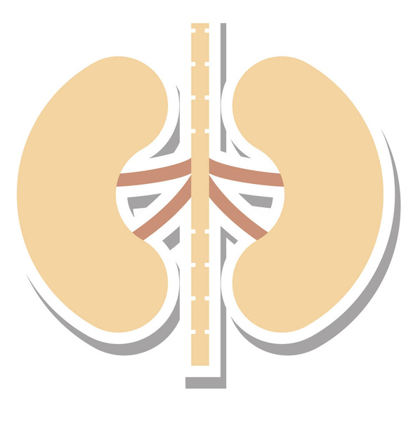 Kidneys Color Isolated Vector Icon Fully Editable - Vector, Image