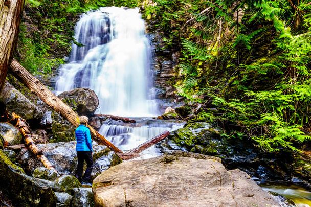 Senior Woman a Whitecroft Falls, una cascata a McGillivray Creek e una breve passeggiata da Sun Peaks Road vicino alla città di Whitecroft nella regione di Shuswap dell'Okanagen nella Columbia Britannica, Canada
 - Foto, immagini