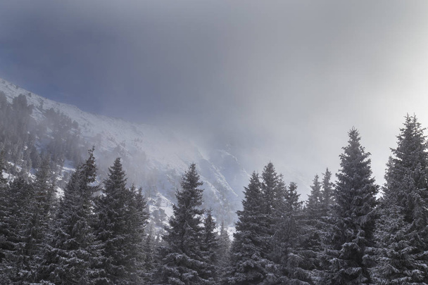 Красивые зимние альпийские пейзажи со свежим снегом и туманом
 - Фото, изображение