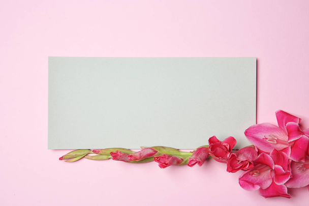 Krásný mečík květiny s prázdnou kartou na barvu pozadí, pohled shora - Fotografie, Obrázek