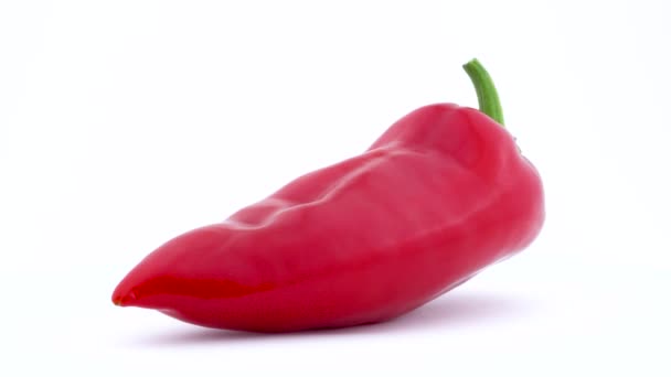 One long red pepper. Rotating on the turntable. Isolated on the white background. Close up. Macro. - Materiał filmowy, wideo