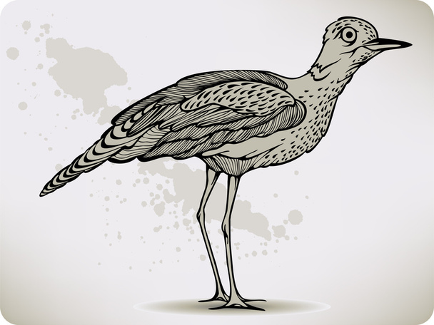 Bird stylized, hand-drawing. Vector illustration. - Vetor, Imagem
